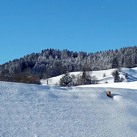 Apartment Allgaeu Vibes - Fusslaeufige Erreichbarkeit Vom Bahnhof, Echte Flatrate Fuer Internet Festnetz, Mit Aussicht, Wettergeschuetzter Balkon Oberstaufen