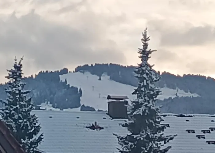 Allgaeu Vibes - Oberstaufenplus, Zugang Bahnhof, Mit Aussicht, Wettergeschuetzter Balkon *