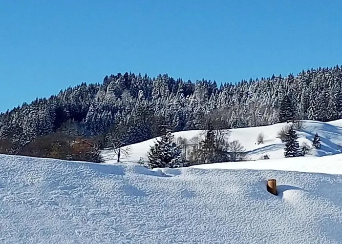 Appartamento Allgaeu Vibes - Oberstaufenplus, Zugang Bahnhof, Mit Aussicht, Wettergeschuetzter Balkon Oberstaufen